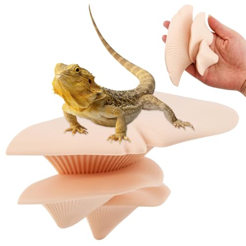 Mushroom Reptile Ledge, Mushroom Decor for Reptile Tank, Tree Frog Terrarium Tank Accessories Magnetic Ledge Ladder Pet Spider Accessories(Color:Apricot)