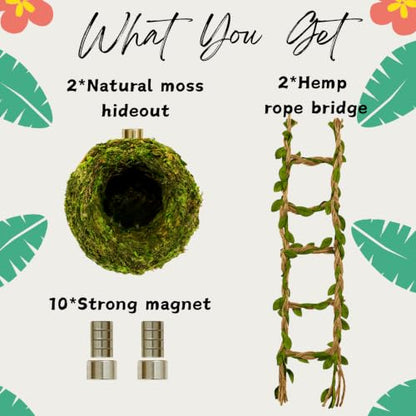 Jumping Spider Accessories - Moss Hideout with Hemp Rope Bridge | Magnetic decor set for jumping spider enclosures. Premium moss hideout & hemp rope bridge expand climbing space.
