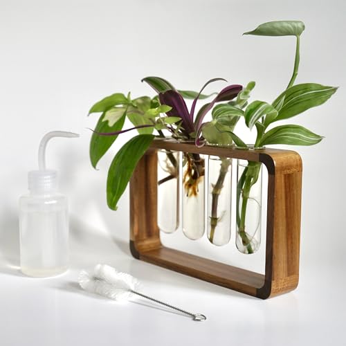 Source & Plot Plant Propagation Station - Acacia Wood Stand with 4 Glass Test Tubes, Tabletop Hydroponic Terrarium Planter Rack for Rooting & Houseplant Decor, Gift for Plant Lovers