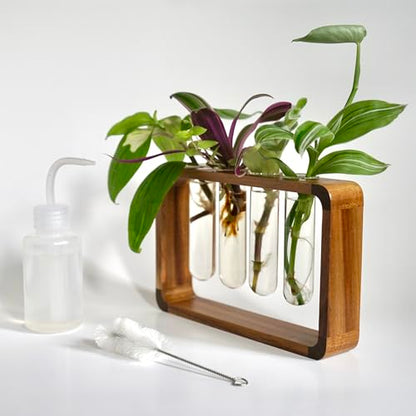 Source & Plot Plant Propagation Station - Acacia Wood Stand with 4 Glass Test Tubes, Tabletop Hydroponic Terrarium Planter Rack for Rooting & Houseplant Decor, Gift for Plant Lovers
