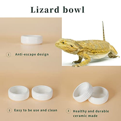 Reptile Food Bowls Ceramic Reptile Water Food Dish (White, Medium-2Pack)