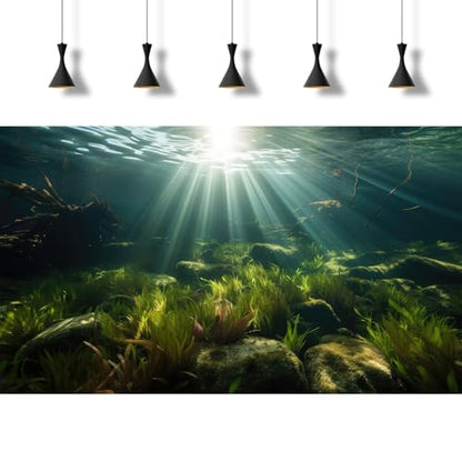 Ocean Floor Aquarium Background Underwater Green Aquatic Seagrass Fish Tank Background Under The Sea Seaweed Sunbeams Terrarium Backgrounds Misty Deep Sea Cork Caves Backgrounds for Aquarium 36x24in - size: 36(W)x24(H)inches/ 90(W)*60cm(H)