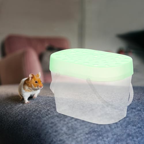 2Pcs Small Pet Carrier Cages for Hamsters and Turtles, Portable Handheld Reptile Boxes with Ventilation, Medium Green Storage Containers for Travel and Outdoor Use