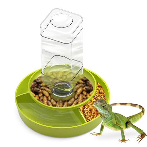 2 in 1 Reptile Food Feeders Bowl Water Bottle, Automatic Water Dispenser Reptile Feeder Kit for Amphibian Lizard Bearded Dragon Snake Feeding (Green) - color: Green