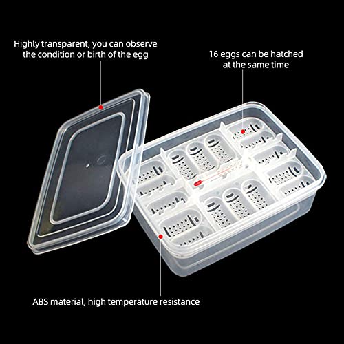 Still Awake Reptile Egg Incubator Professional Hatcher Hatching Box Case Tray Plastic Breeding Incubator for Hatching Snake,Lizards, Reptiles,Gecko(16 Slots Without Thermometer)