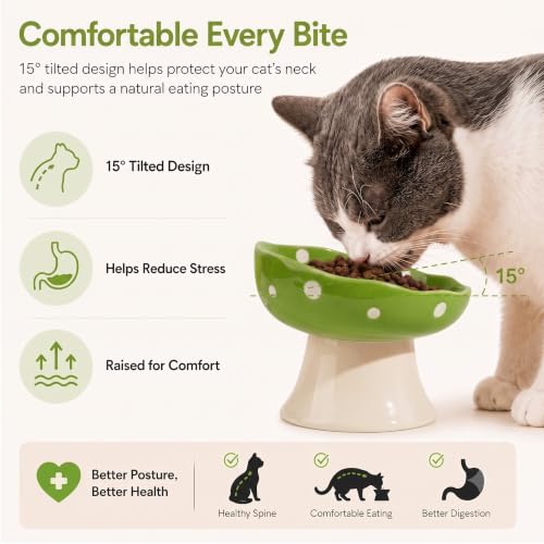 Green Mushroom Cat Bowl, Elevated Ceramic Bowl for Cats | Elevated, Ceramic, Whisker Friendly, Wide Opening, Anti Vomiting - color: Green