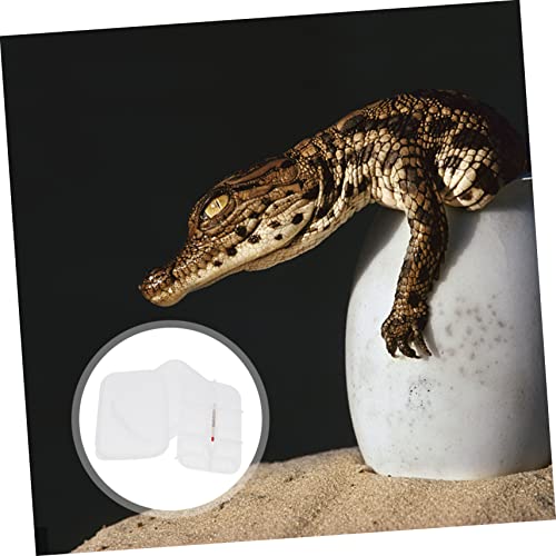 Small Egg Incubator for Reptiles 12 Compartment Breeding Box Temperature Control
