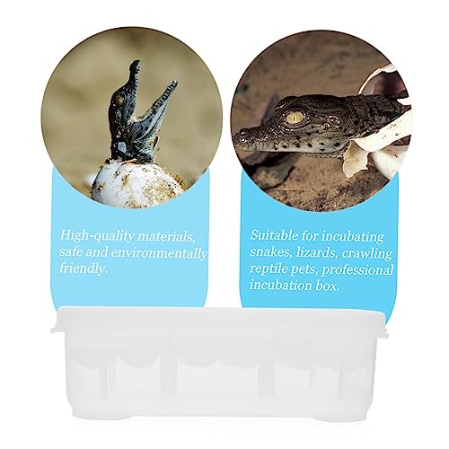 GANAZONO 1Pc Compartment Reptile Hatching Box Transparent Gecko Incubator for Snakes and Lizards Easy to Clean Reptile Breeding Case with Thermometer for Egg Incubation and Reuse
