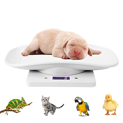 Digital Pet Scale, LCD Electronic Weighing Scale with Tray, Max. 33 lbs | Portable Small Animal Weight Scale, Multifunction Kitchen Scale for Food/Lizard/Puppy/Kitten/Hamster/Whelping