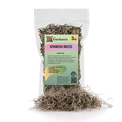 Premium Natural Spanish Moss | Natural Preserved - Great Ground Cover - Filler for Potted Plants - 3 Quart Bag - color: SPANISH MOSS, size: 3 Quart