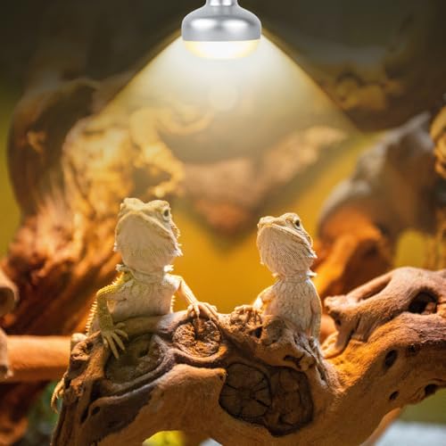REPTI ZOO 150W Reptile Heat Lamp Bulb Combo – Day & Night Basking Light Set, 2 Pack Frosted UVA Spot Bulb + Infrared Heat Lamp, No-Disturb Nighttime Warmth for Bearded Dragon, Tortoise, Snake, Lizard