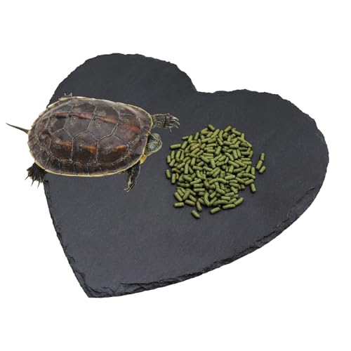 Turtle Tank Accessories, Heart-Shaped Slate Tile for Reptiles, Natural Rock Platform for Feeding & Basking, Aquarium Decor for Bearded Dragon, Tortoise, Gecko, Snake, Chameleon - size: 20CM