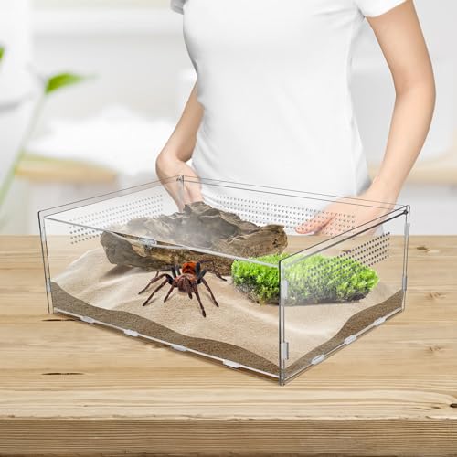 Micro Habitat Terrarium Enclosure, 6x11x16 inch Jumping Spider Enclosure with Locking Latch for Small Tree Dwelling Reptiles,Tarantula, Amphibians, Spiders,Invertebrates