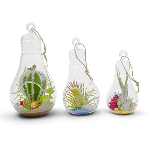 WGV Hanging Glass Plant Terrarium, Width 3", Height 6", Bulb DIY Air Succulent Planter Clear Vase Tea Light Votive Candle Holder, Wedding Event Office Home Outdoor Decor, 1 Piece - size: Bulb S