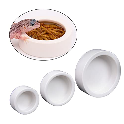 Feeder Food Dish Ceramic Water Bowl Feeding Dish Anti-Escape Container for Bearded Dragon Corn Snake
