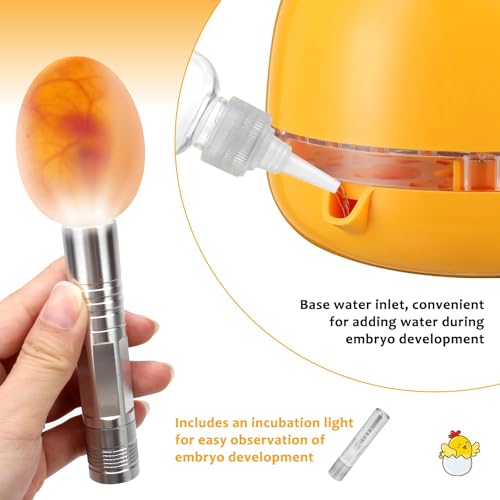 Automatic Egg Incubator for Hatching Eggs with LED Temperature Display, Humidity Control & Egg Turner, Clear Lid Incubator for Chicken, Quail & Bird Eggs (6 Egg Capacity)