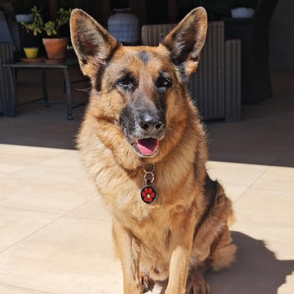 MYLUCKYTAG QR Code Pet ID | Personalized Dog & Cat Collar Tag | Online Profile with Instant Scanned Location Alert Email - style: Red Paw