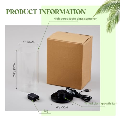 Glass Terrarium Kit with LED Grow Light for Desktop,7.9 x 3.9 Inch | Self Contained Ecosystem, Large Capacity Succulents Moss Venus Fly Trap, Borosilicate Planter, Miniature Garden Home Decor