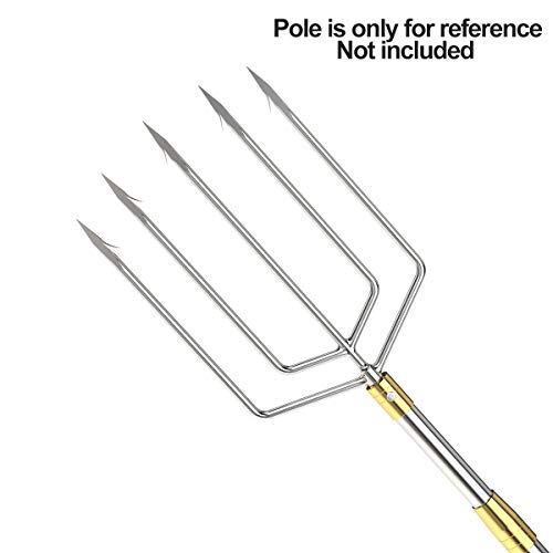 5/7 Prong Fishing Harpoon, Stainless Steel Gig Gaff Hook with 8mm Screw, Harpoon Hook for Hunting Fish Flounder Frog Gig in Pond River Lake, Capable for Fishing Gaff Gig Pole - color: 5 Prong with 8mm screw