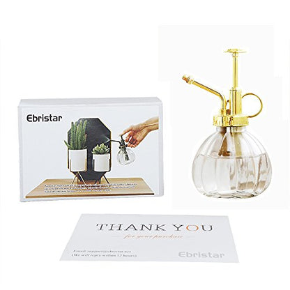 Plant Mister, 6.5" Tall Decorative Glass Water Spray Bottle with Gold Top Pump Small Watering Can by Ebristar - Clear - color: Clear+Gold N