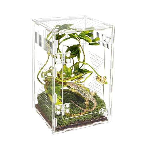 Clear Designs Reptiles Enclosure with Secure Locking Lid and Airflows Vents for Amphibians Easy Observation Terrariums Acrylic Reptiles Terrariums