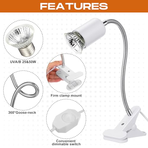 3 Set Reptile Heat Lamp UVA/UVB Turtle Heat Lamp Holder Fixture Clamp Basking Spot Adjustable 50w Full Spectrum Sun Sunbathe Bulb for Turtle Lizard Bearded Dragon Snake Aquarium Amphibian(White)