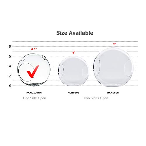 WGV Planter Terrarium Bulk, Width 6" Height 6.5", Clear Globe Glass Vase Container Orb with Two Side Opening, DIY Air Planter, Votive Candle Holder for Decor, 6 Pieces - size: Double Opening Orb