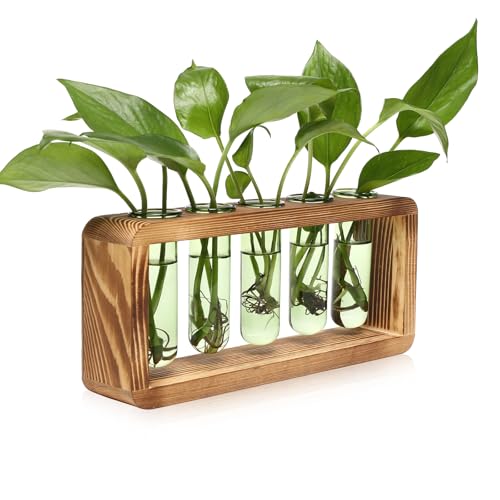 Glass Plant Propagation Station with 5 Test Tubes Colorful Planter Vase | Birthday Gifts for Women in Wooden Stand - color: Green