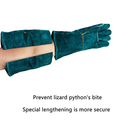 Animal Handling Gloves - 60CM Durable Bite & Scratch Resistant Gloves for Bathing, Grooming, Welding, Handling Dogs, Cats, Birds, Snakes, Parrots, Lizards, Reptiles - color: Green, 60 Cm