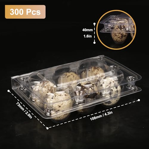 300 Pack Quail Egg Cartons, Clear Plastic Quail Egg Trays, Holds up to 6 Quail Eggs Securely - Your Ultimate Small Eggs Carton Holders for Bulk Storage and Display - size: 300 Pack Quail Egg Cartons 6 Grids