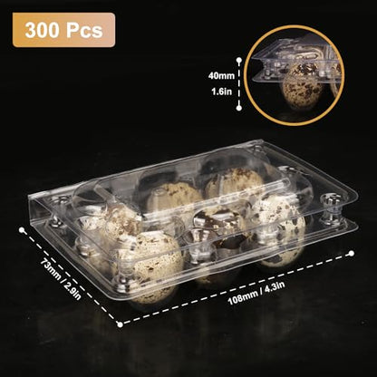 300 Pack Quail Egg Cartons, Clear Plastic Quail Egg Trays, Holds up to 6 Quail Eggs Securely - Your Ultimate Small Eggs Carton Holders for Bulk Storage and Display - size: 300 Pack Quail Egg Cartons 6 Grids
