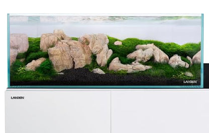 Elephant Skin Stone Natural Aquascaping Rock 18lb Planted Tank | Wrinkled texture; iwagumi, reptile terrarium - size: 11 Elephant Skin Stone(3-9 inches,18lbs)