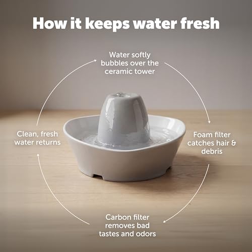PetSafe Creekside Ceramic Pet Fountain, 60 Oz, 4-Pack Carbon Filters | 60 Oz Capacity, Whisper-Quiet Flow, Includes Carbon Filters, Top-Rack Dishwasher Safe - style: Fountain + 4 Carbon Filters