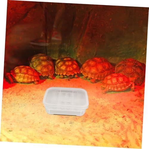 POPETPOP Box Compartments for Efficient Hatching Plastic Incubation Container for Lizards Geckos Snakes and Other Reptiles