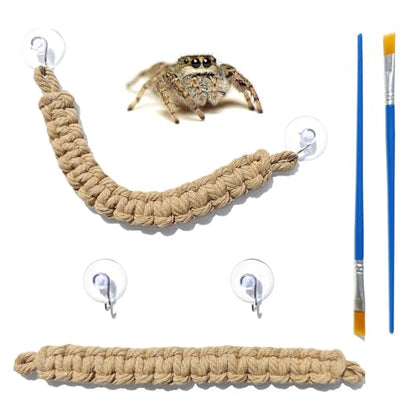 CYG&CL 2 Pack Jumping Spider Enclosure Climbing Toys, Hanging Jumping Spider Rope Bridge, Habitat Decor for Small Reptiles and Amphibians