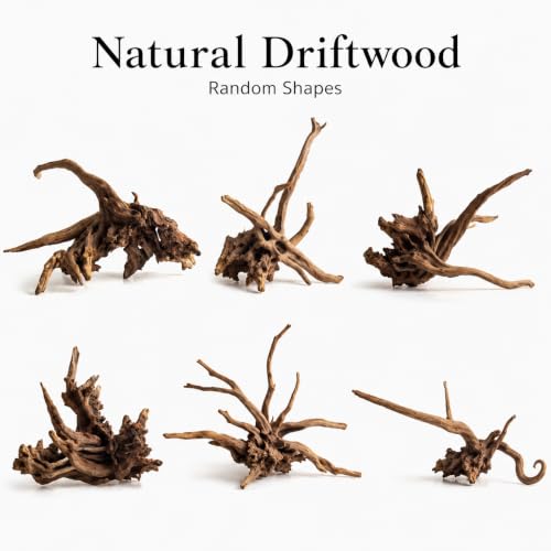 emours Natural Aquarium Driftwood, Horizontal Root Style Wood for Fish Tank Decor, Unique Driftwood for Aquascape, Terrarium and Reptile Display (8-12" (20-30 cm)) - size: 8-12" (20-30 cm)