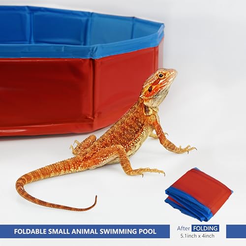 Bearded Dragon Foldable Bath Pool with Bath Brush, Bathrobe, Towel, Spray Pot and Tweezer, for Puppy Small Dogs Cats (Red, 20 x 3.6 inch) - color: Red, size: 20 x 3.6 inch
