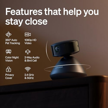 PETLIBRO Cat & Dog Camera with Multi-Pet Recognition, Individual Timelines, Activity Tracking, Smart Summaries, Indoor AI Pet Camera - color: Black, size: with 7-Day AI Trial