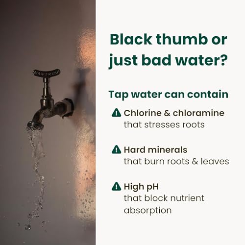 Tap Water Conditioner for Plants by The Green Alcove | Distilled Water Alternative for Senisitive Houseplants | Treats 310 gallons, Remove Chlorine, Chloramines & Heavy Metals, Buffers pH (16 fl oz)