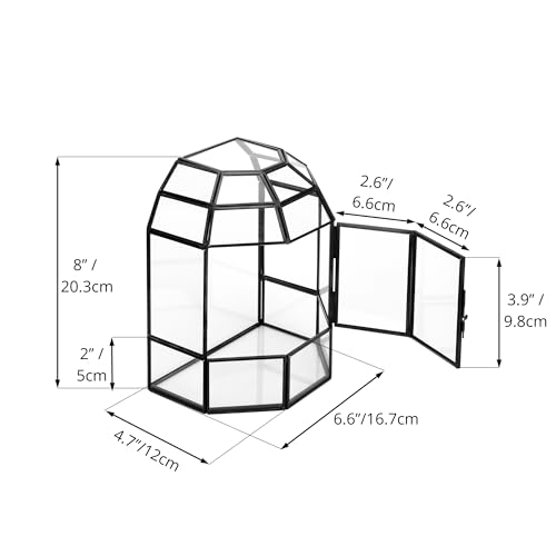 NCYP Half Dome Geometric Glass Terrarium with Door, Closed Moss Planter Pot, Miniature Landscape Container, Indoor Tabletop Decor, Black (Terrarim Only)