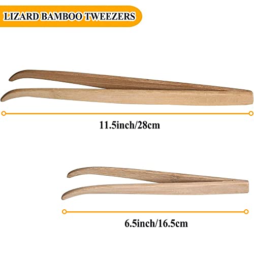 Reptile Feeder Tongs, Bamboo Tweezers for Lizard Gecko | Two-size bamboo tong set keeps hands safely away when feeding lizards, geckos, turtles, iguanas & bearded dragons