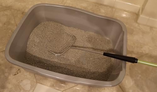 Sand Dipper Cat Poop Scooper & Chicken Poop Scooper - Rugged Big 6" Square Stainless Steel Long Handle for Home Kitty Litter Scoop & Farm Chicken Coop Scooper (Junior) - size: 6 - Junior