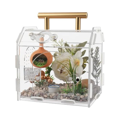 Acrylic Jumping Spider Enclosure with Magnetic Lock | 3mm clear acrylic magnetic front door & feeding port for escape-proof care