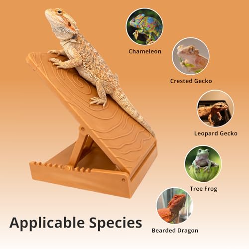 Bearded Dragon Tank Accessories, Adjustable Plastic Climbing Ramp with Anti-Slip Base for Small Reptile, Habitat Accessories for Bearded Dragon, Gecko, Chameleon and Other Small Reptile