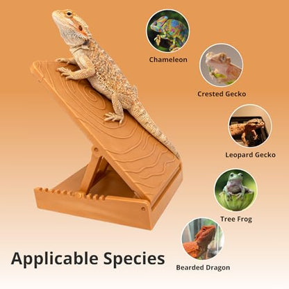 Bearded Dragon Tank Accessories, Adjustable Plastic Climbing Ramp with Anti-Slip Base for Small Reptile, Habitat Accessories for Bearded Dragon, Gecko, Chameleon and Other Small Reptile