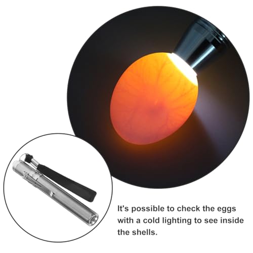 VOSAREA Led Egg Candler Portable Incubator Egg Tester Light for Chicken Duck Bird Eggs Embryo Development Monitoring Cold Light Inspection Tool