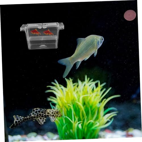 Yardwe Dual-Layer Fish Breeding Box with Divider Self-Floating Incubator for Aquarium Fry and Betta Fish Suitable for Shrimp and Reptiles
