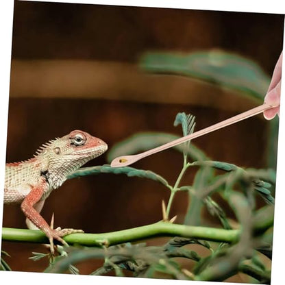 2Pcs Reptile Feeding Spoon Ergonomic Long Handle Lizard Scoop for Small Pet Food Durable Easy to Feeding Tool for Lizards Geckos and Other Reptiles