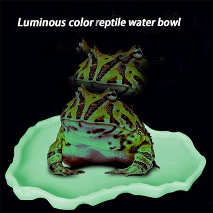 Luminous Reptile Food Bowl, Large | Water Dish, Terrarium Bowls, Tortoise Bowl - color: Luminous
