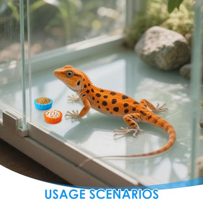 6 Pcs Crested Gecko Food and Water Bowl with 1 Spoon, Reptile Feeding Cups for Lizards, Isopods & Small Pets, Easy-Clean Silicone Set